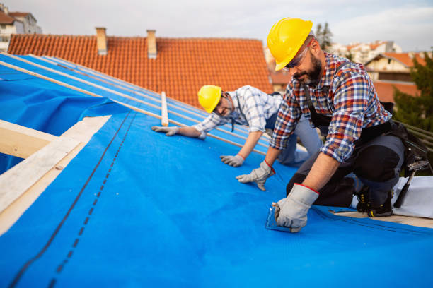 Best Emergency Roof Repair  in Bonny Doon, CA