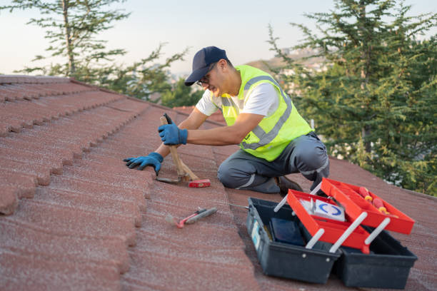 Best Affordable Roofing Company  in Bonny Doon, CA