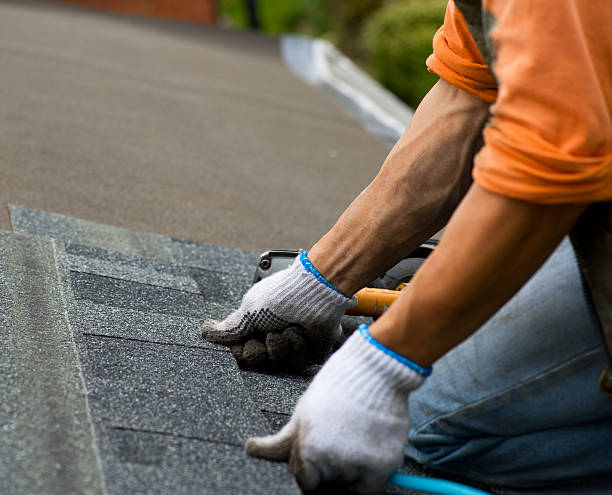 Best Roof Maintenance Services  in Bonny Doon, CA